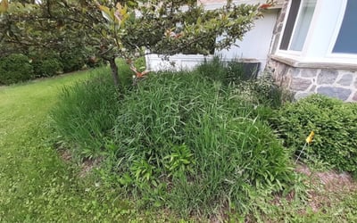 Photo of Mike M.'s yard after getting landscaping in Pewaukee, WI