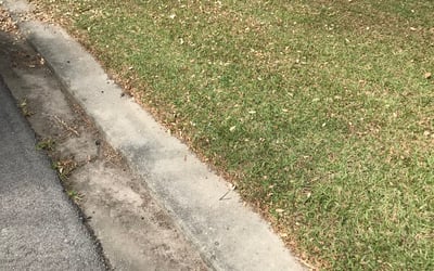 Photo of David P.'s yard after getting landscaping in Springfield, LA