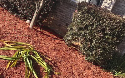 Photo of Michael W.'s yard after getting landscaping in Turin, GA