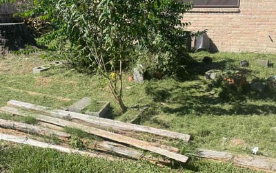 Photo of Karen R.'s yard after getting landscaping in High Island, TX