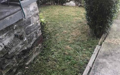 Photo of Ashley S.'s yard after getting landscaping in Folsom, PA