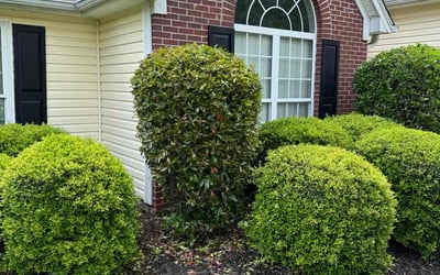 Photo of Sarah B.'s yard after getting landscaping in Concord, GA