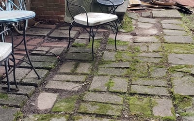 Photo of Kristin D.'s yard after getting landscaping in Gold Hill, NC