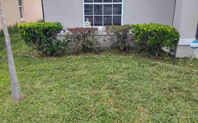 Photo of Indrauti P.'s yard after getting landscaping in Geneva, FL