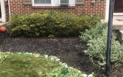 Photo of Jim_Carla A.'s yard after getting tree care in Bristow, VA