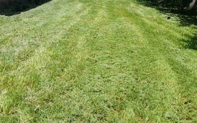 Photo of Allison S.'s yard after getting landscaping in Stowell, TX