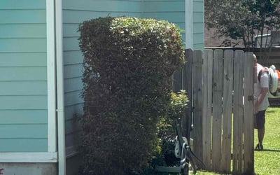 Photo of Michelle G.'s yard after getting tree care in Pensacola, FL