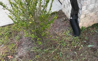 Photo of Tony T.'s yard after getting tree care in Duluth, GA