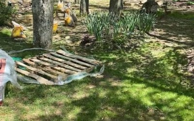 Photo of Andrea D.'s yard after getting landscaping in Russellville, OH