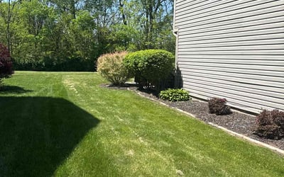 Photo of Jordan S.'s yard after getting landscaping in Fishers, IN