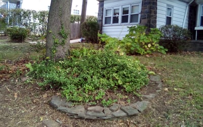 Photo of Chris W.'s yard after getting landscaping in Glen Mills, PA