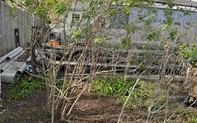 Photo of Andrew H.'s yard after getting landscaping in Stamford, CT