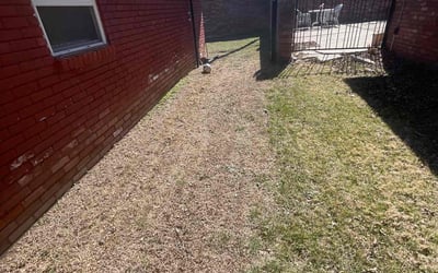 Photo of Daniel R.'s yard after getting landscaping in Oklahoma City, OK
