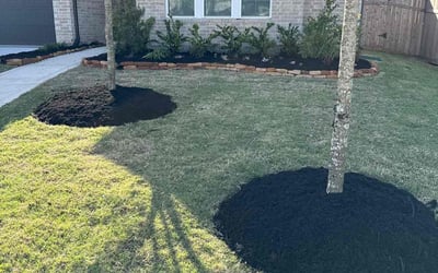 Photo of Robert M.'s yard after getting landscaping in Fulshear, TX