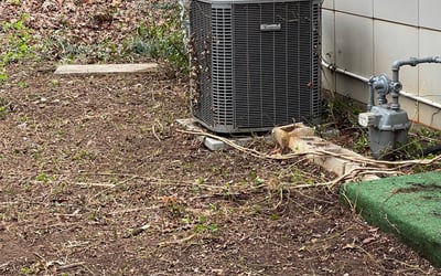Photo of Jackie B.'s yard after getting landscaping in Zebulon, GA