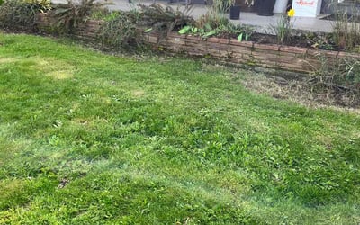 Photo of Erin S.'s yard after getting landscaping in Canby, OR