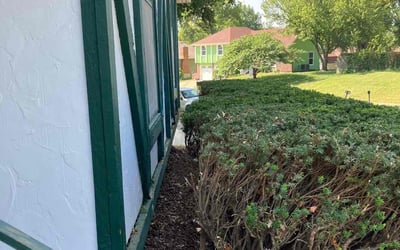 Photo of Samuel B.'s yard after getting landscaping in Richmond, MO
