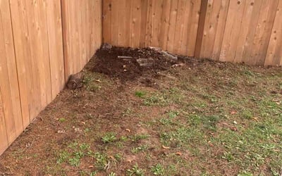 Photo of Cara C.'s yard after getting landscaping in Molalla, OR