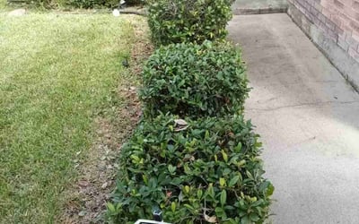 Photo of Jason L.'s yard after getting landscaping in Ingleside, TX