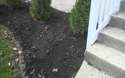 Photo of Pat M.'s yard after getting landscaping in Cincinnati, OH