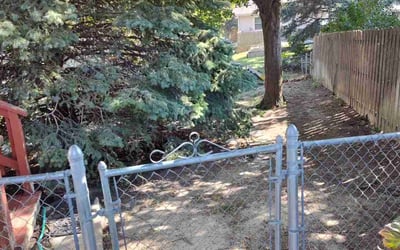 Photo of Timothy D.'s yard after getting landscaping in Glenwood, IA