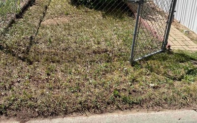 Photo of Mark M.'s yard after getting landscaping in Bennett, CO