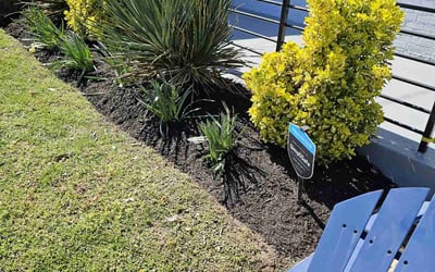 Photo of Julie S.'s yard after getting landscaping in Reva, VA