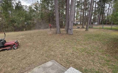 Photo of Margaret T.'s yard after getting landscaping in Conway, SC