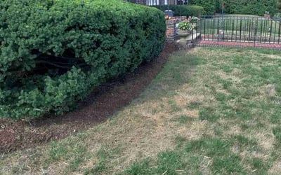Photo of Johanna M.'s yard after getting landscaping in Needham Heights, MA