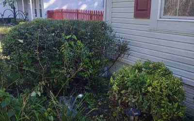 Photo of Michael S.'s yard after getting landscaping in Irwin, OH