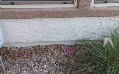 Photo of Steven C.'s yard after getting landscaping in Aguila, AZ