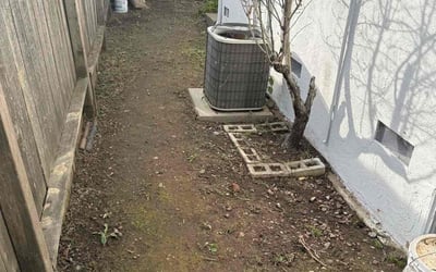Photo of Dennis T.'s yard after getting tree care in El Dorado Hills, CA