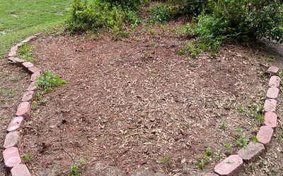 Photo of Cassandra J.'s yard after getting tree care in Quincy, FL
