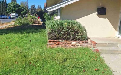 Photo of UNEKI B.'s yard after getting landscaping in Canoga Park, CA