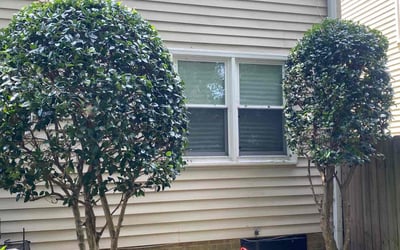 Photo of Deno D.'s yard after getting landscaping in Rescue, VA