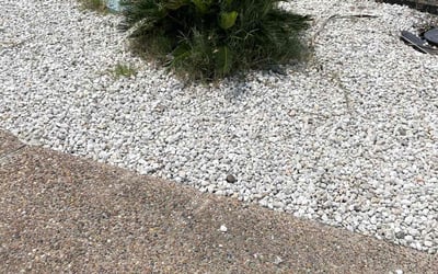 Photo of Mike L.'s yard after getting landscaping in Corpus Christi, TX