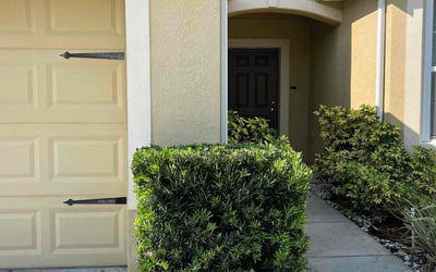 Photo of Josh A.'s yard after getting landscaping in Winter Haven, FL