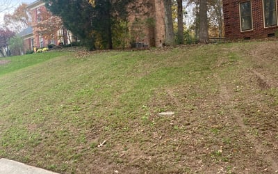 Photo of James M.'s yard after getting landscaping in Landis, NC