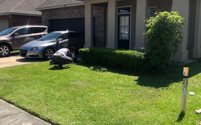 Photo of Kathy C.'s yard after getting landscaping in Saint Amant, LA