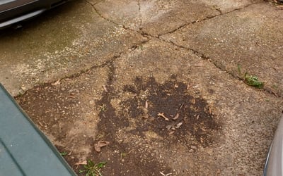 Photo of Jennifer H.'s yard after getting landscaping in Senatobia, MS