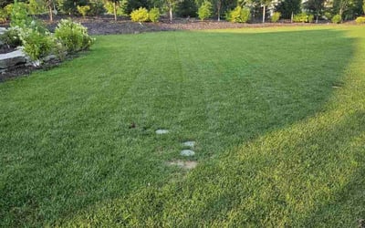 Photo of Vicki T.'s yard after getting lawn care in Appleton, WI