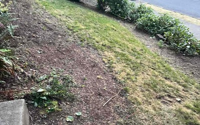 Photo of Karen R.'s yard after getting landscaping in West Linn, OR