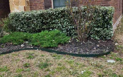 Photo of Marcus C.'s yard after getting tree care in Denton, TX