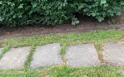 Photo of Ryan T.'s yard after getting landscaping in Huntingtown, MD