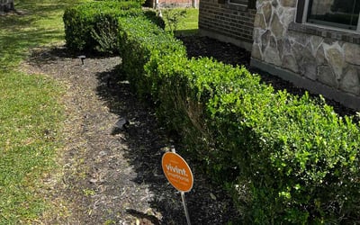 Photo of Jordan W.'s yard after getting landscaping in Pearland, TX
