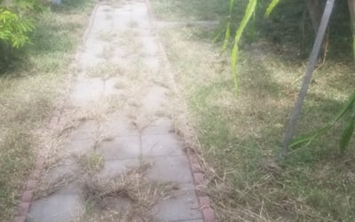 Photo of Jordan G.'s yard after getting landscaping in Sinton, TX