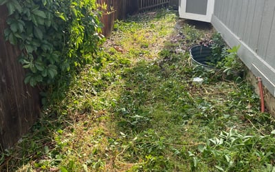 Photo of Sandra L.'s yard after getting landscaping in Kiowa, CO