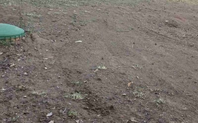 Photo of Mark S.'s yard after getting landscaping in Griffin, GA
