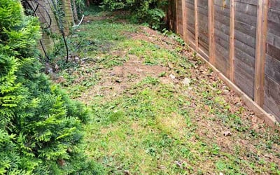Photo of Julie V.'s yard after getting landscaping in Jeffersonton, VA