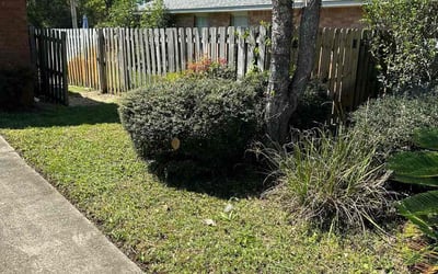 Photo of Marcus A.'s yard after getting landscaping in Mc David, FL
